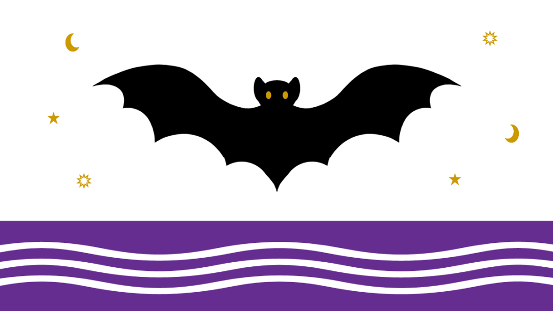 Cleo featured image for blog with black bat and purple waves.