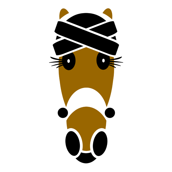 Anita cross-band turban in black. Hattingdon Horses.