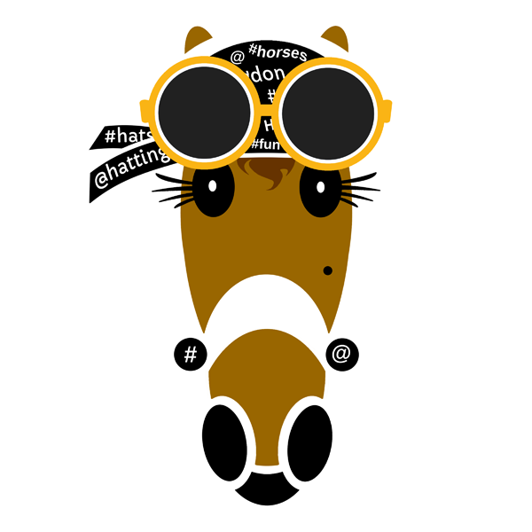 Skylar social media scarf, Hattingdon Horses, created by Vivian J Grant.