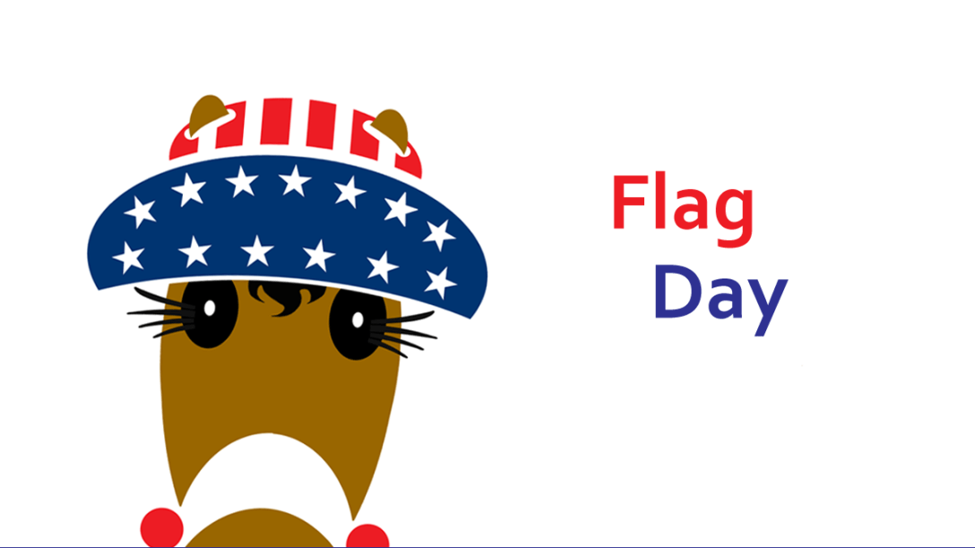 Blog Hattingdon Flag Day post header featuring Betsy.