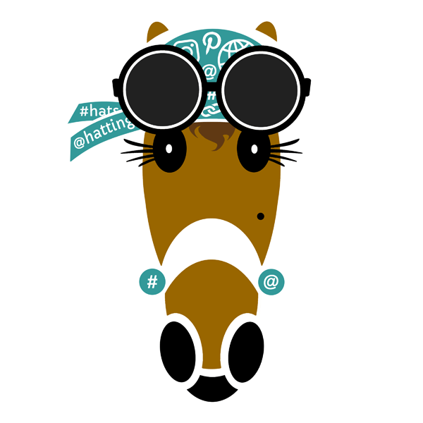 Skylar Hattingdon wearing her social media scarf with large, dark sunglasses.