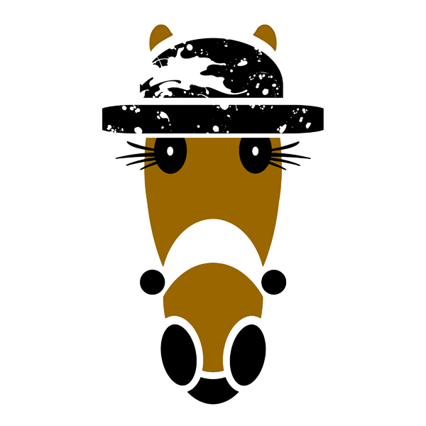 Splash Classic in black updated 2025.