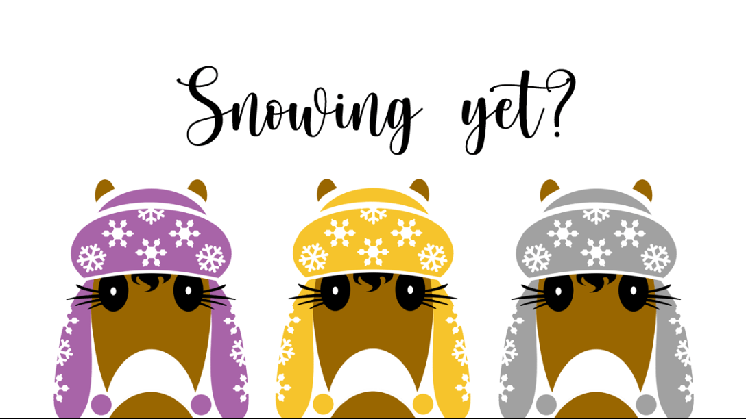 Flap header for the blog. Left to right: violet, yellow and grey winter hats with flaps to keep your face warm.