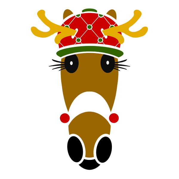 Rudy Hattingdon of Hattingdon Horses.