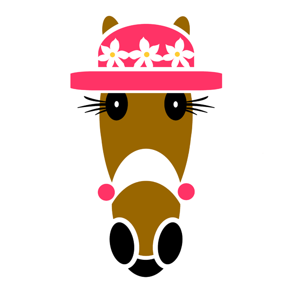 Savanna classic hat. ©Hattingdon Horses.