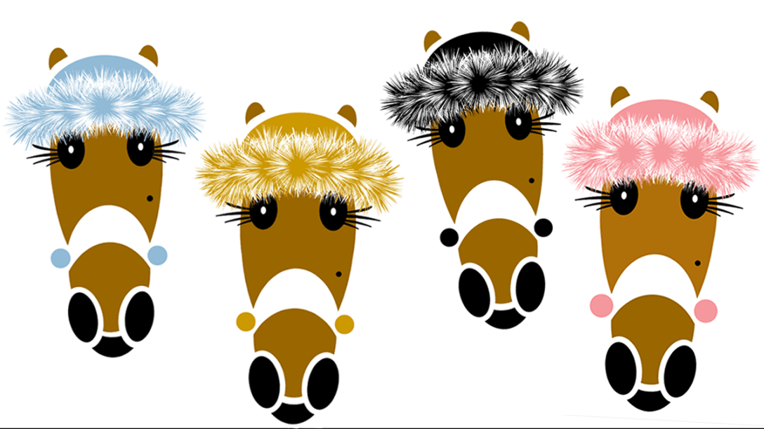 Coco faux fur winter hats.