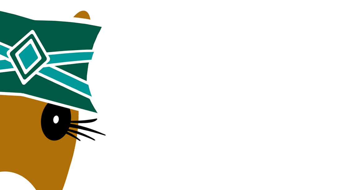 Chloe blog post featured image. Hattingdon Horses.