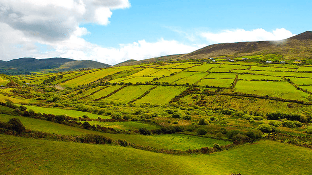 Irish landscape. Fine Art America.