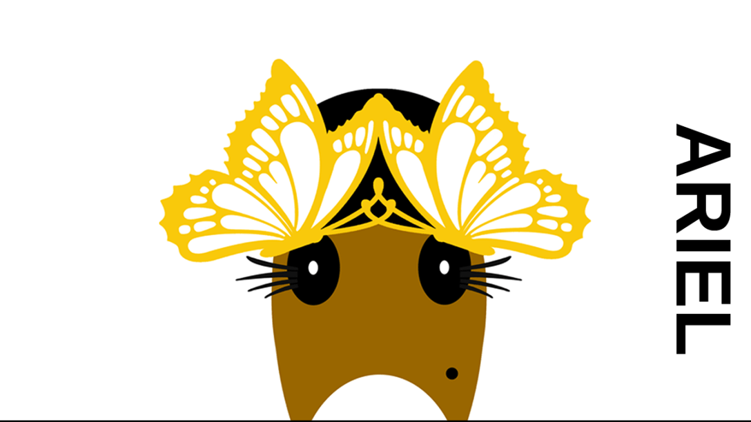 Ariel Hattingdon butterfly hat with black cap.