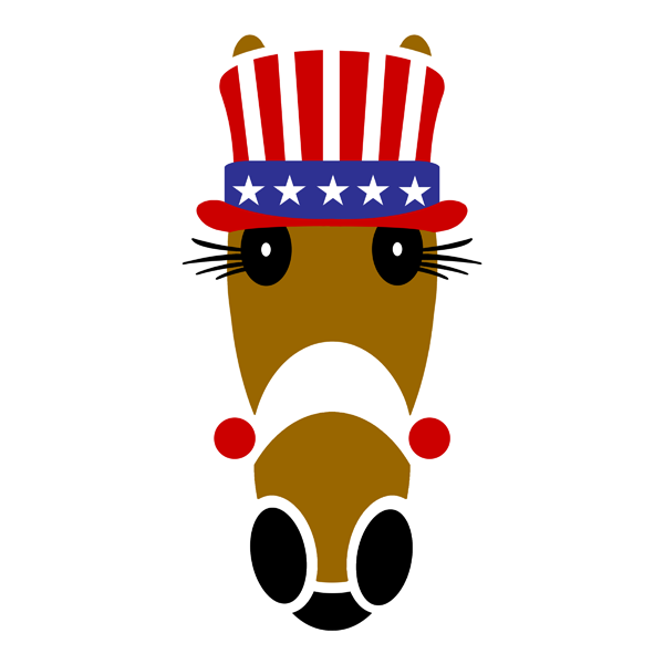 Sammie US flag inspired top hat. 4th of July 2024.