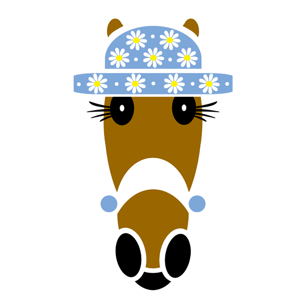Daisy 2019 Classic Hat.