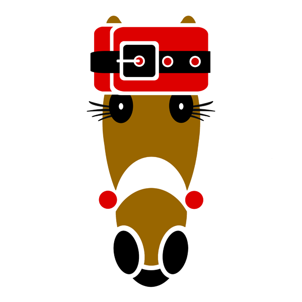 Kris Hattingdon in her wrap around Santa hat.