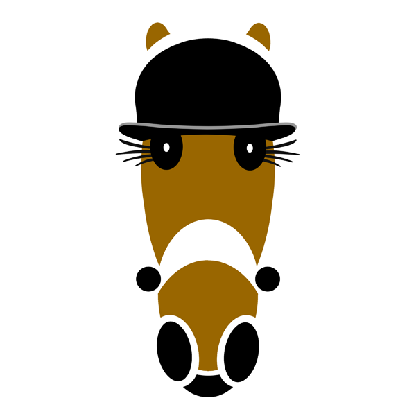 Toby Bowler Hat. Hattingdon Horses.