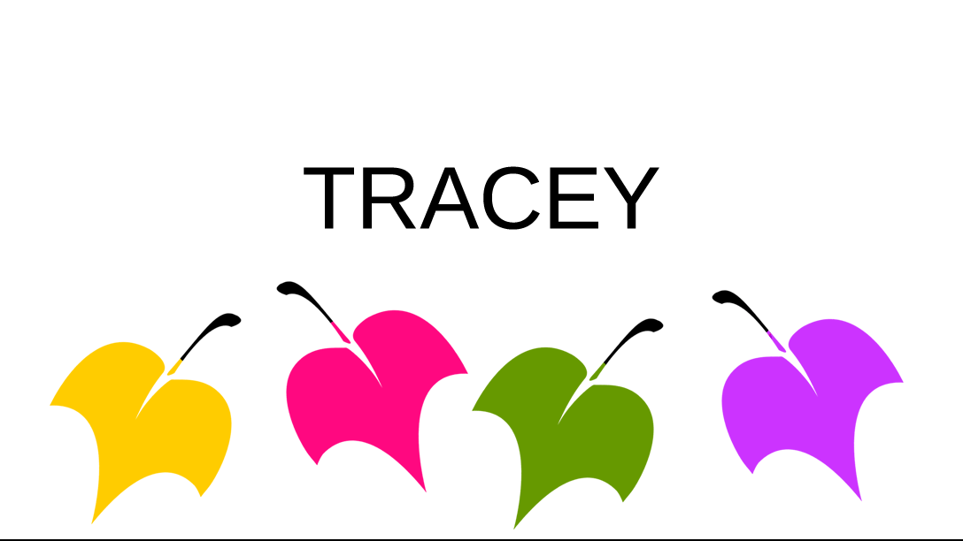 Tracey Hattingdon blog banner.