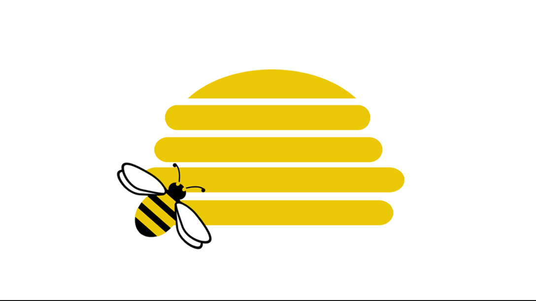 Honey Beehive featured image with curious bee.