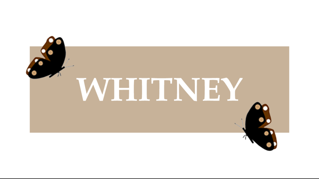 Whitney Featured Image. September 2025.